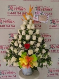 funerarias-campo-de-paz-sala-villanueva-cementerios-condolencias-salas-villanueva-nos-unimos-en-el-recuerdo-y-el-pesar-de-la-inolvidable-perdidarf-19